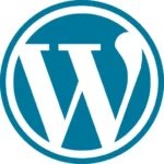 WordPress website development tool used by a Digital Marketing Strategist in Palakkad, Kerala