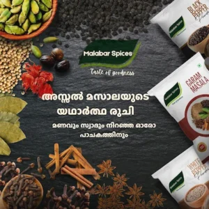 Malabar Spices brand content by Safna Digital Palakkad Kerala
